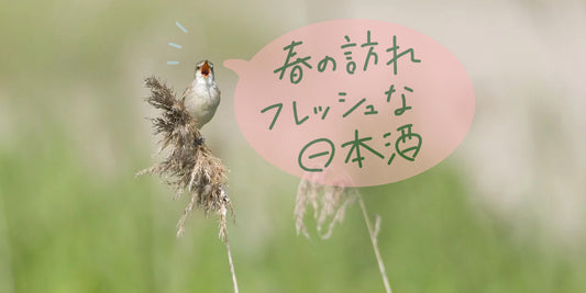 フレッシュな味わいが魅力の日本酒特集！！