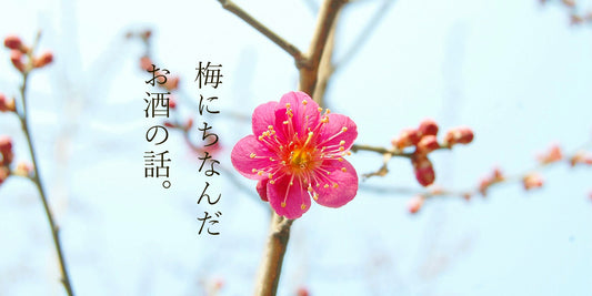 梅にちなんだお酒特集！！